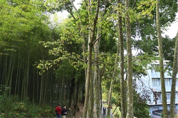 各种用途的植物陪伴，我相信地球一定可以养活更多人类