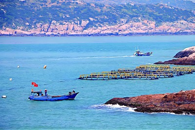 在浙江，生物多样性这样赋能共同富裕